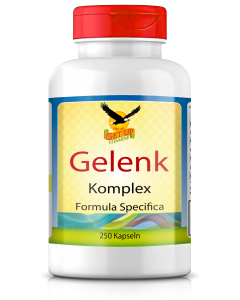 Gelenk Komplex mit MSM & Glucosamin hier bestellen